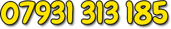 07931 313 185